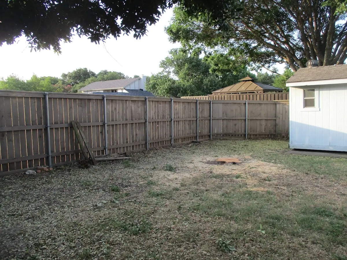 Cleared yard after professional tree removal in Miramar Beach